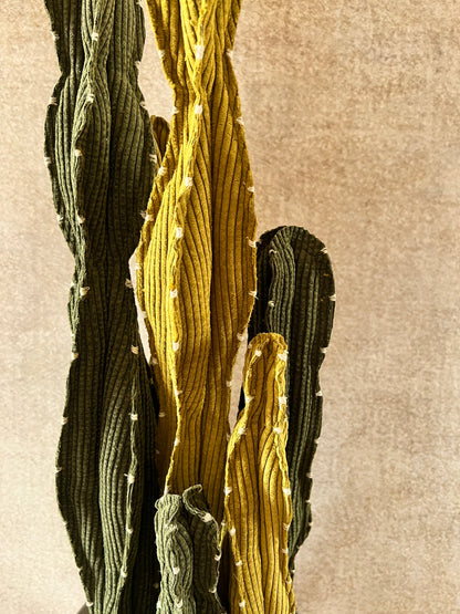 Composizione Cereus over