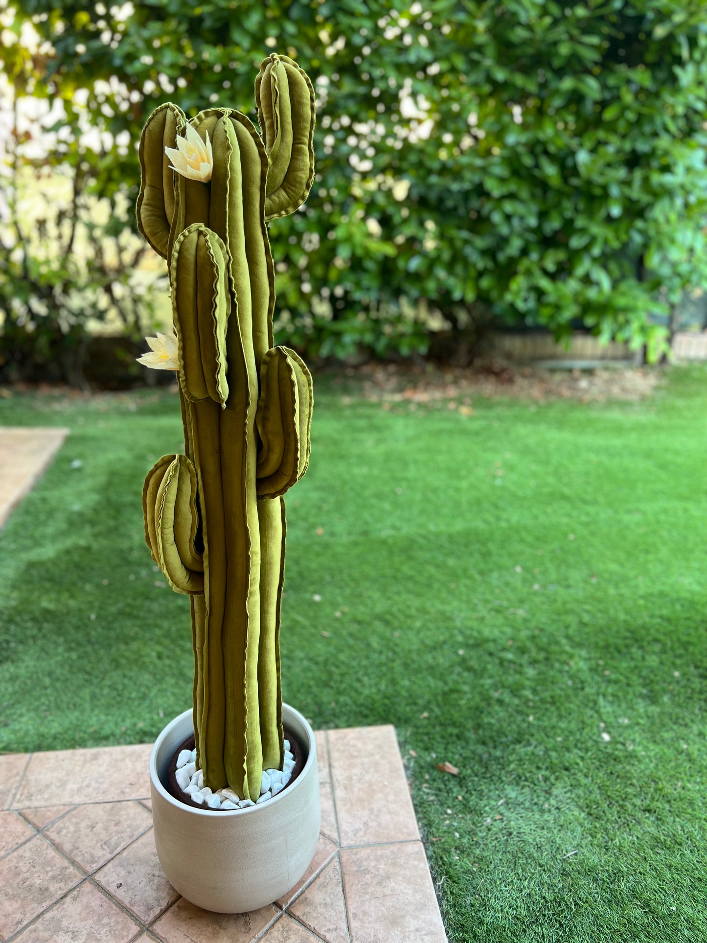 Big cactus in velluto verde lucente - altezza 122 cm circa - completo di fiori (staccabili), DISPONIBILE SU ORDINAZIONE- TEMPO DI CONSEGNA: 3 SETTIMANE DATA ORDINE - SPEDIZIONE GRATUITA.