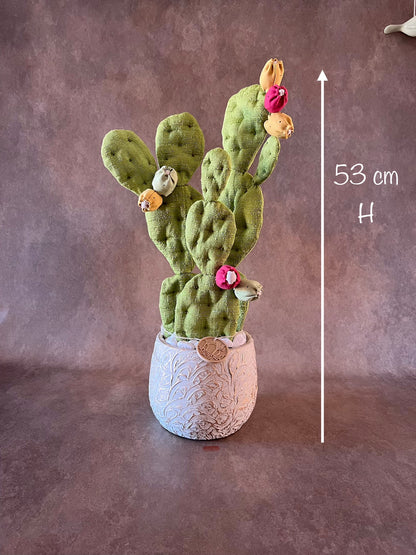 Opuntia verde chiaro vaso in ceramica bianco base opaca con motivo dorato in pronta consegna