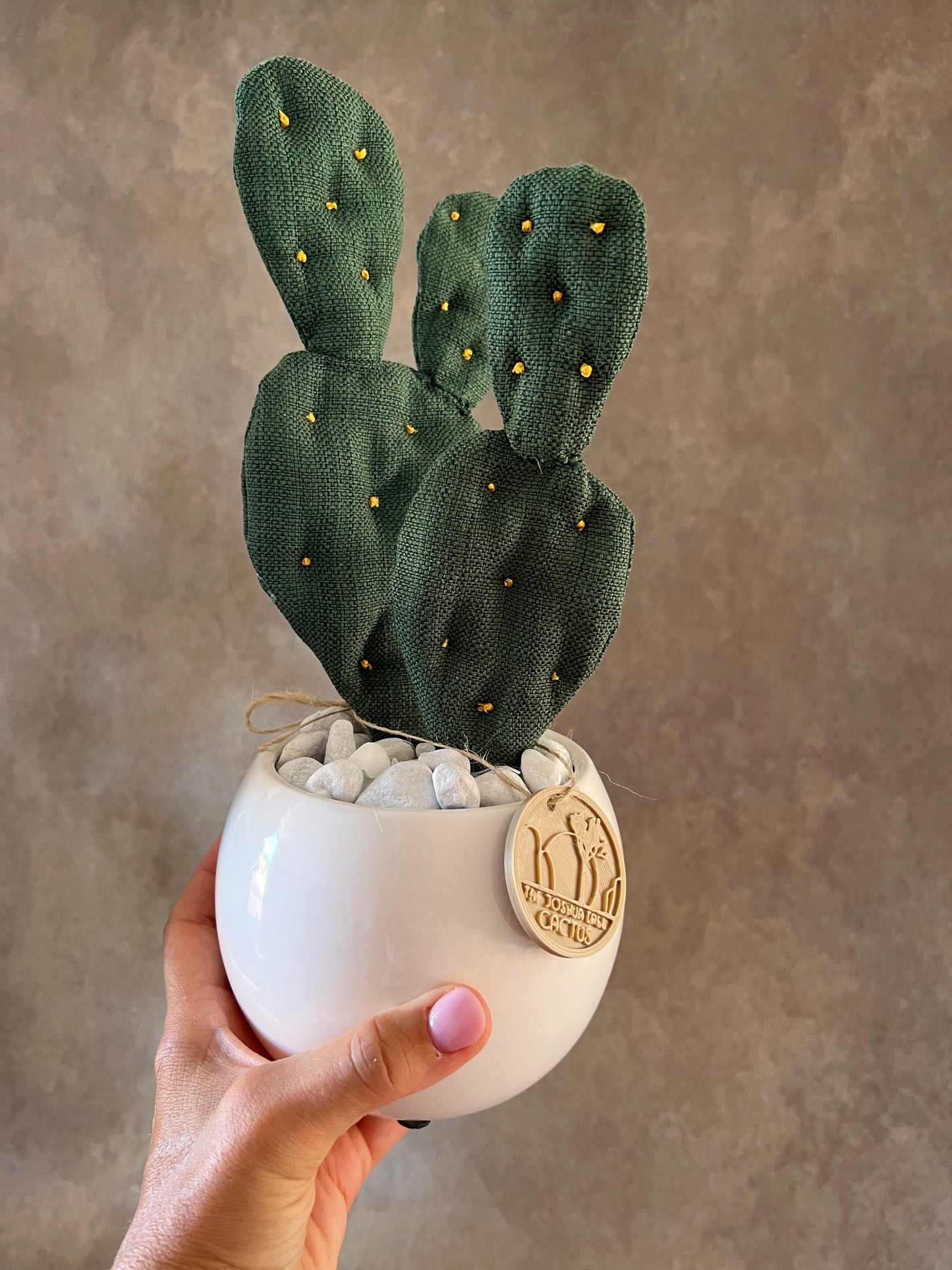 Opuntia in wool fabric complete with white ceramic vase and decorative stones.