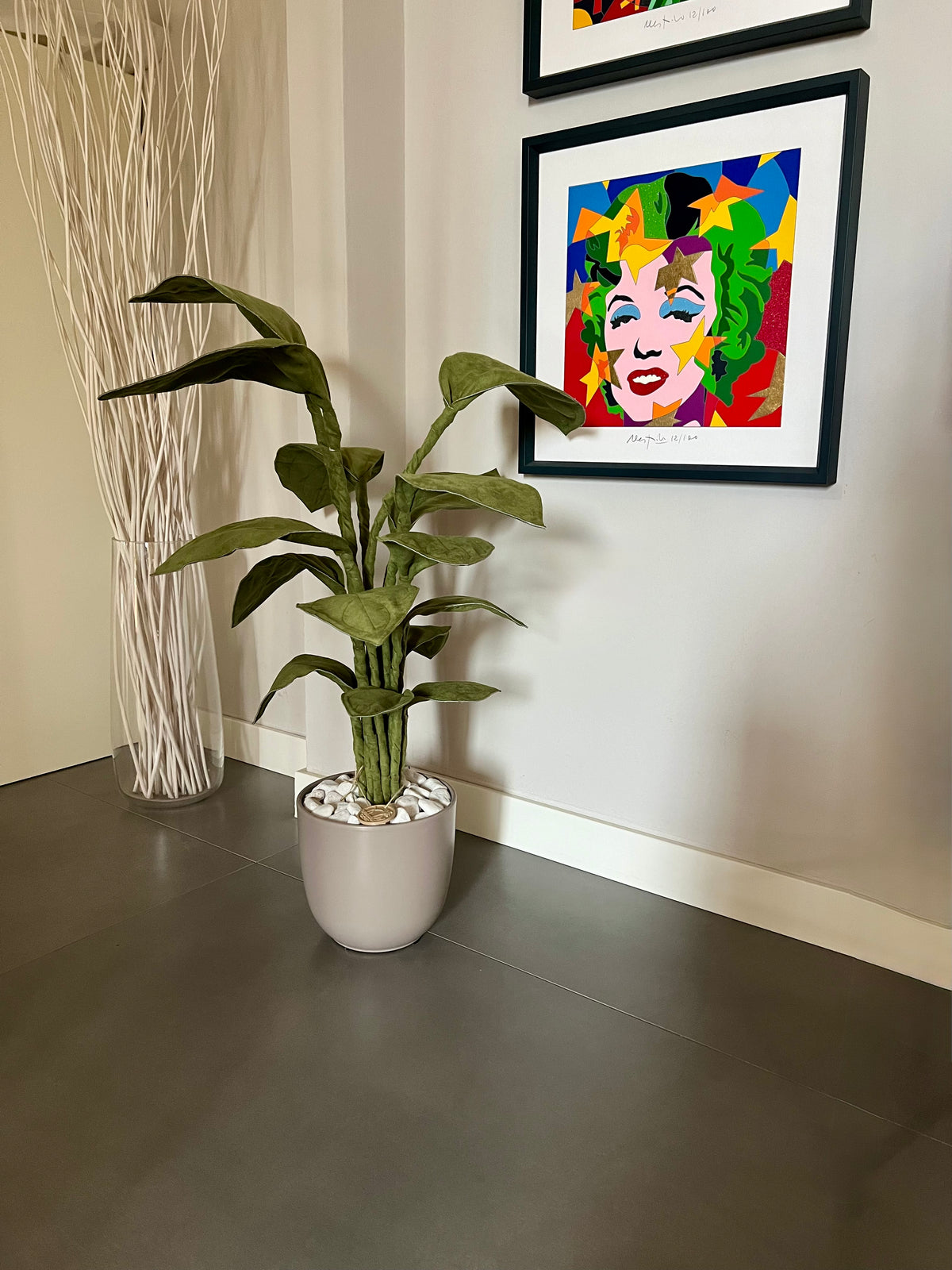 Cereus over composition