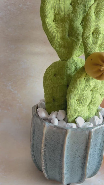 Opuntia in cotone verde chiaro vaso azzurro