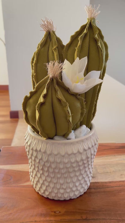 Opuntia in light green cotton with fruits, height 56 ​​cm, complete with ceramic vase