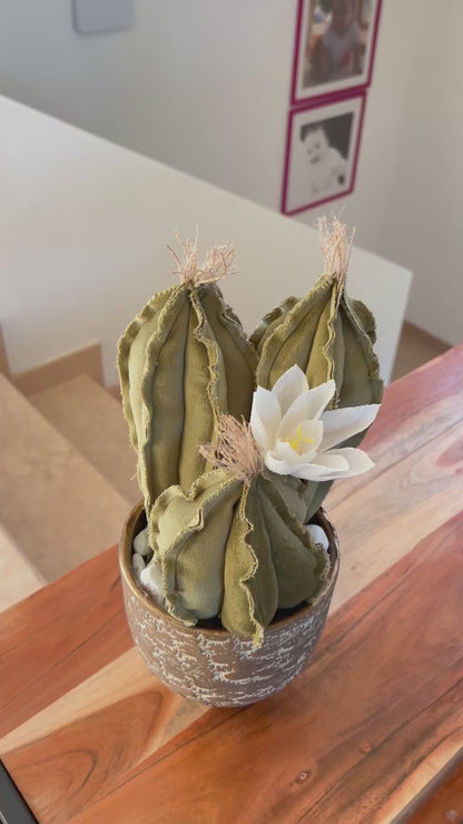 Composizione di 3 Cactus in velluto verde menta, completa di vaso in ceramica bronzo/grigio