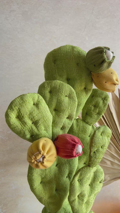 Opuntia in cotone verde chiaro vaso azzurro