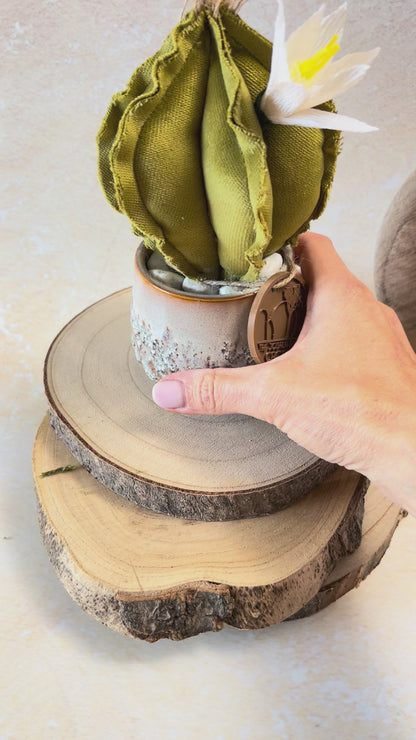 Mini Cactus in velluto verde chiaro, vaso in ceramica lucida chiara disegno astratto, altezza circa 17 cm.