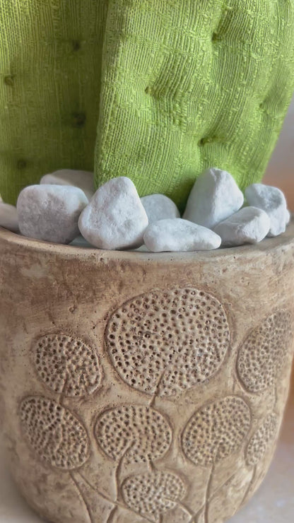 Opuntia in wool fabric complete with white ceramic vase and decorative stones.