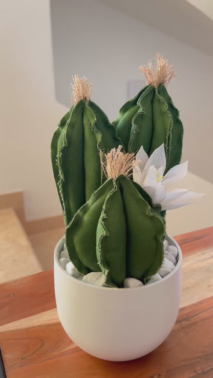 Opuntia in light green cotton with fruits, height 56 ​​cm, complete with ceramic vase