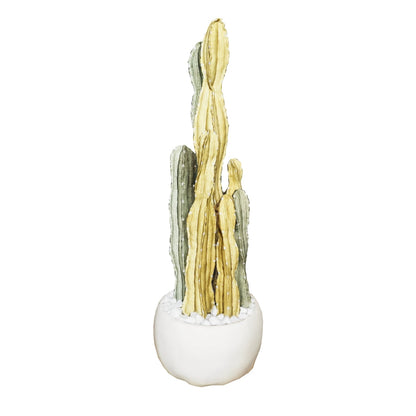 Composizione Cereus over