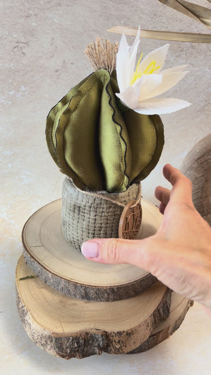 Mini Cactus in tessuto cangiante verde, vaso in ceramica opaca simil cemento, altezza circa 19 cm (fiore staccabile)